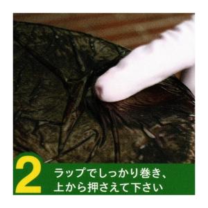 グリーンツリー関西 こげとりぱっとビカ 300...の詳細画像4
