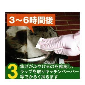 グリーンツリー関西 こげとりぱっとビカ 300...の詳細画像5