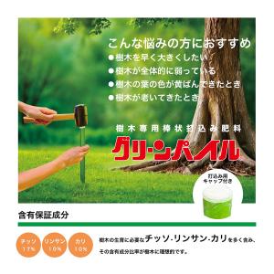 グリーンパイル スモール 釘型 打ち込み 肥料...の詳細画像1