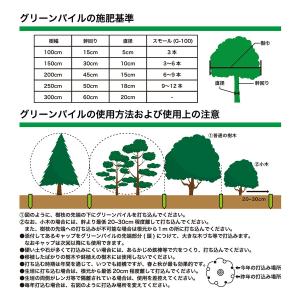グリーンパイル スモール 釘型 打ち込み 肥料...の詳細画像3