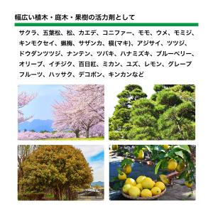 グリーンパイル スモール 釘型 打ち込み 肥料...の詳細画像4