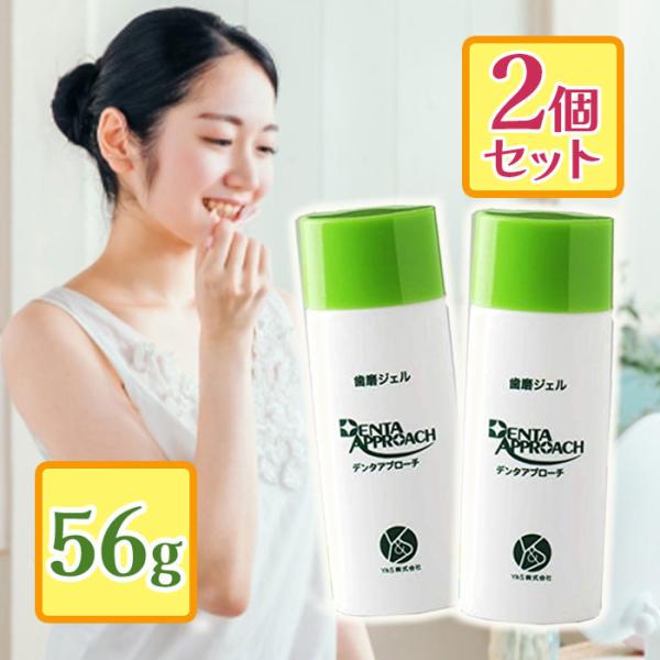 Y＆S デンタアプローチ 歯磨きジェル 56g×2個セット レギュラーサイズ 歯磨き粉 口腔用化粧品