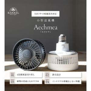 エクメア AECHMEA-BK ブラック ホワ...の詳細画像1