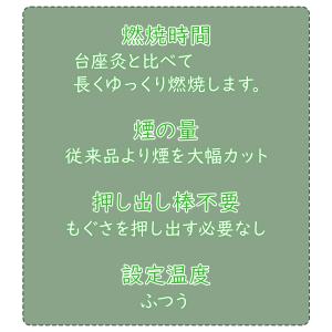 つぼ灸NEO NEXT レギュラー 600回分...の詳細画像2