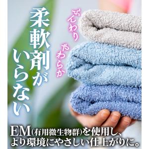 シャボン玉せっけん EM液体洗濯せっけん 5L...の詳細画像2