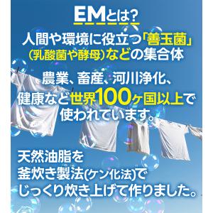 シャボン玉せっけん EM液体洗濯せっけん 5L...の詳細画像3