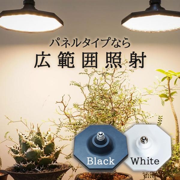 BARREL ROKI-OCTAGON 50W ブラック ホワイト 植物育成ライト LED パネル ...