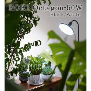 BARREL ROKI-OCTAGON 50W...の詳細画像1