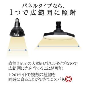 BARREL ROKI-OCTAGON 50W...の詳細画像2