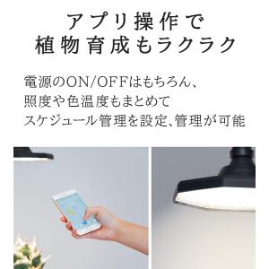 BARREL ROKI-OCTAGON 50W...の詳細画像3