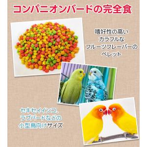 ズプリーム フルーツブレンド Sパラキート 9...の詳細画像2