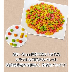 ズプリーム フルーツブレンド Sパラキート 9...の詳細画像4
