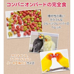 ズプリーム フルーツブレンド Mオカメインコ ...の詳細画像2