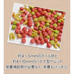 ズプリーム フルーツブレンド Mオカメインコ ...の詳細画像4