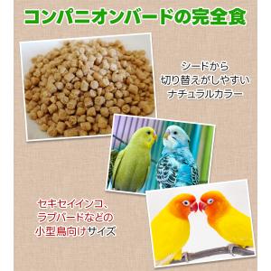 ズプリーム ナチュラル プレミアムダイエット ...の詳細画像2