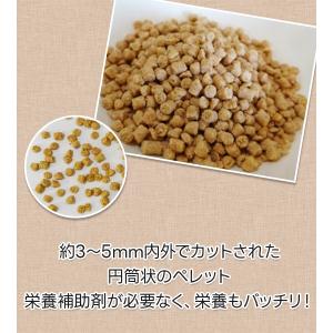 ズプリーム ナチュラル プレミアムダイエット ...の詳細画像4