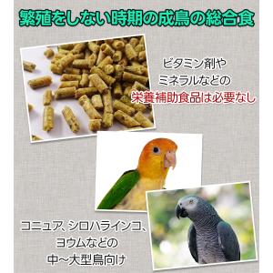 ラウディブッシュ デイリーメンテナンス スモー...の詳細画像2
