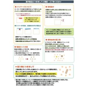 ラウディブッシュ デイリーメンテナンス スモー...の詳細画像3
