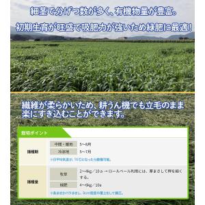 タキイ種苗 ソルガム 緑肥用 ソルゴー 1kg...の詳細画像2