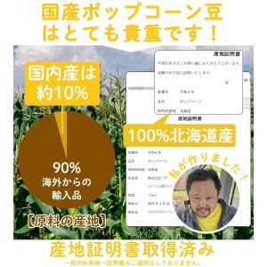 北海道産 ポップコーン用 豆 国産 500g ...の詳細画像3