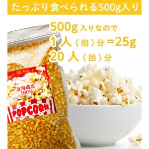 北海道産 ポップコーン用 豆 国産 500g ...の詳細画像4