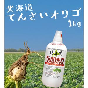 加藤美蜂園本舗 北海道てんさいオリゴ 1kg ...の詳細画像1
