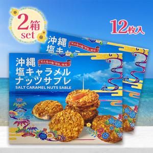 南風堂 塩キャラメルナッツサブレ 小 12枚入り...の商品画像