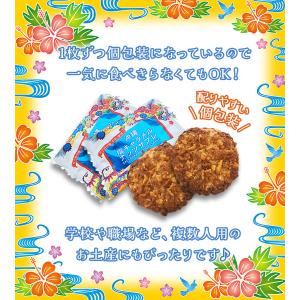 南風堂 塩キャラメルナッツサブレ 小 12枚入...の詳細画像3