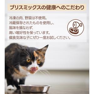 ケイエムテイ ブリスミックス 猫用 チキン 2...の詳細画像3