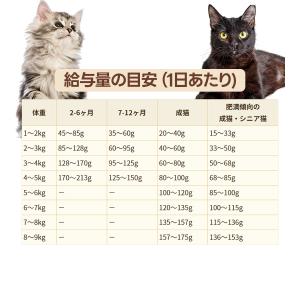 ケイエムテイ ブリスミックス 猫用 チキン 2...の詳細画像4
