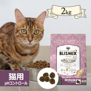 ケイエムテイ ブリスミックス pHコントロール グレインフリーチキン 2kg 成猫 小粒タイプ ドライフード