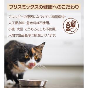 ケイエムテイ ブリスミックス pHコントロール...の詳細画像3