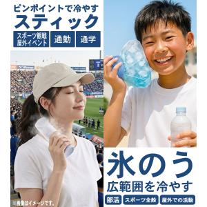 2WAYで使える 氷のう ボトル アイススティ...の詳細画像1