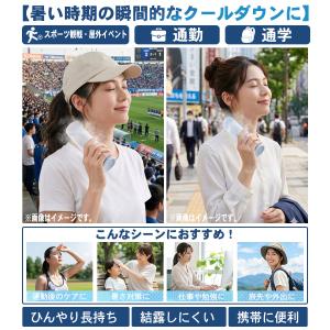 2WAYで使える 氷のう ボトル アイススティ...の詳細画像2