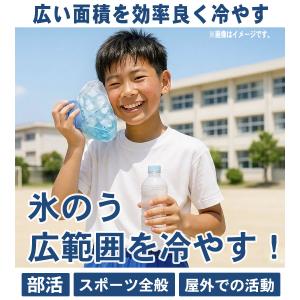 2WAYで使える 氷のう ボトル アイススティ...の詳細画像4
