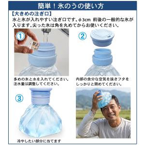 2WAYで使える 氷のう ボトル アイススティ...の詳細画像5