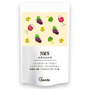 日本サンテ NMN 9600 1粒160mg 国産日本製