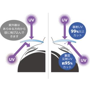 非球面レンズ 屈折率：1.60 裏面UVカットレンズ(UV400 撥水・汚れ防止コート付き) NIKON SV160AS SCUV｜select-s432