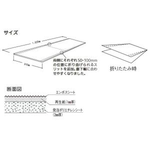 【直送品】 フクビ エコフルガード(養生板)E...の詳細画像1
