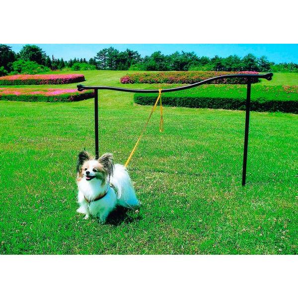 【直送品】ジャービス商事 ドッグランポール W1500×H900~1000 | 犬 散歩 リード エ...