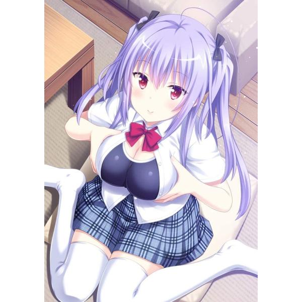 PS4 となりに彼女のいる幸せ~Summer Surprise~ プレミアムED