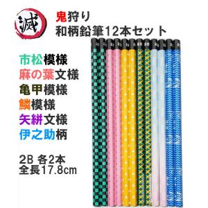 鬼滅の刃柄 12本鉛筆セット 鬼狩り 2×6柄２B　
