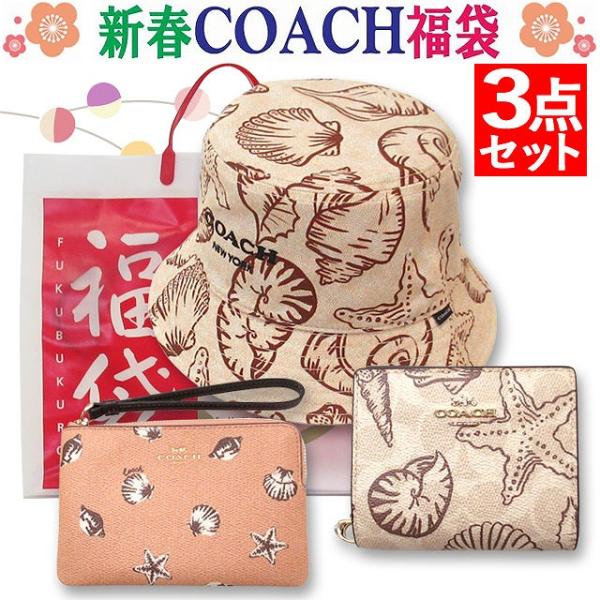 【並行輸入品】福袋 コーチ アウトレット 2026 ラッキーバッグ ハッピーバッグ COACH レデ...
