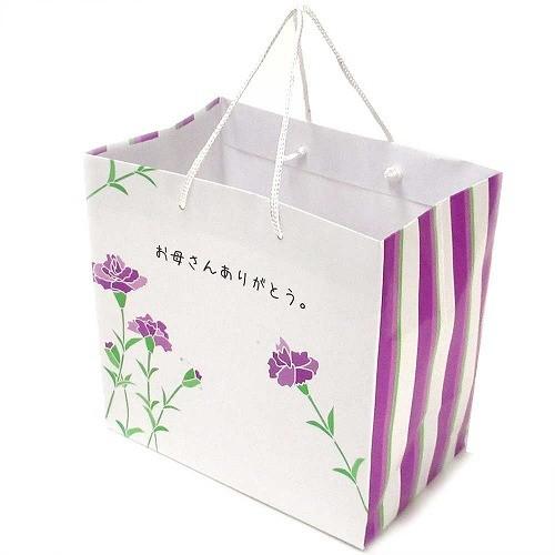 セレクトAG オリジナル “おかあさんありがとう” メッセージ入り 母の日 ショッパー 当店オリジナ...