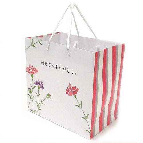 セレクトAG オリジナル “おかあさんありがとう” メッセージ入り 母の日 ショッパー 2020 当...