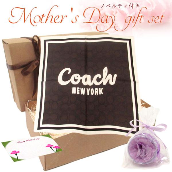 【並行輸入品】母の日 ギフトセット コーチ スカーフ COACH アウトレット シグネチャー カーシ...