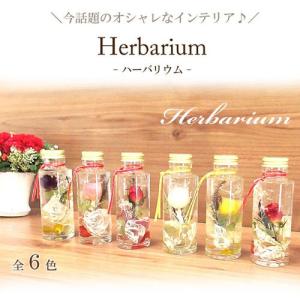 【選べる6タイプ】ハーバリウム Herbarium スリム ラウンド プリザーブド ドライ フラワー ボトル