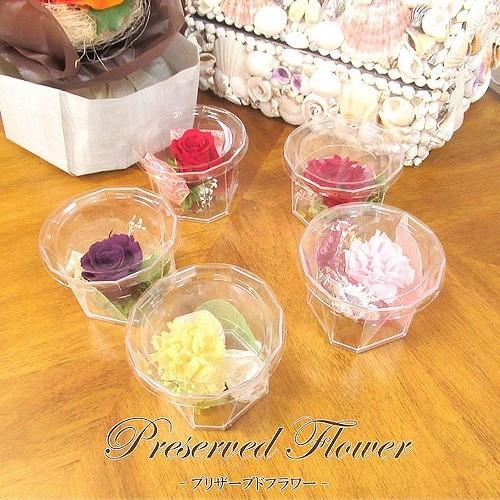 【選べる5タイプ】母の日 ギフト プリザーブド フラワー ローズ カーネーション  クリアケース入り...