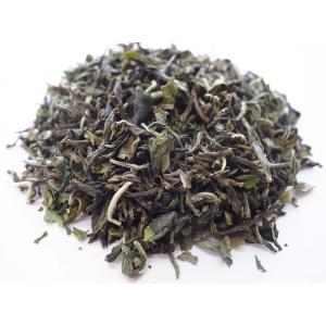 ダージリン 2022年 ファーストフラッシュ リザヒル茶園 40ｇ(20ｇ x 2袋) DJ-02 ...