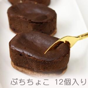 半生チョコレートケーキ、ぷっちょこ （プチ・ショコラ） 12個入り｜selectea-y